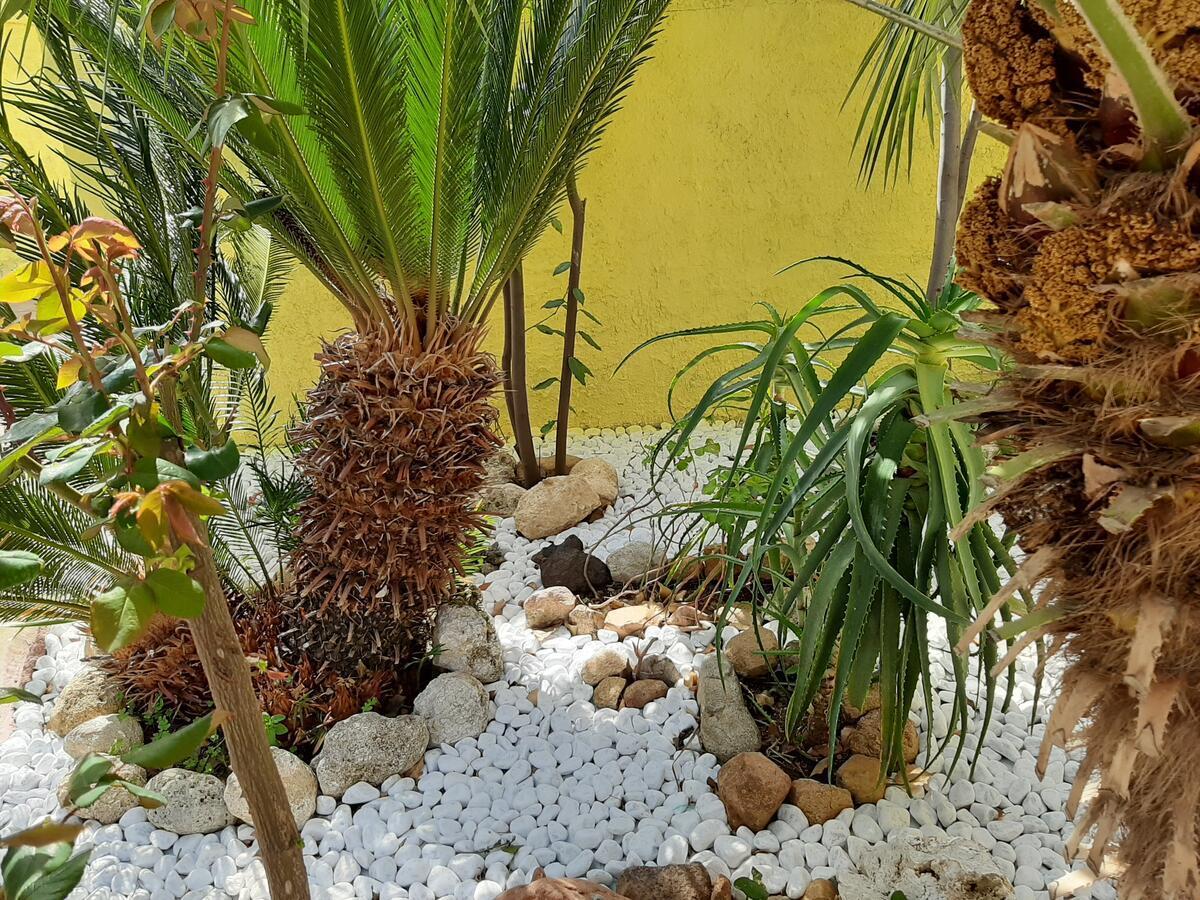 Artistika Golden Apartment Capitana Luaran gambar